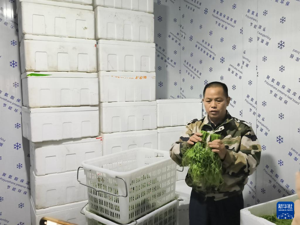 致富经._致富加盟_怎样致富致富
