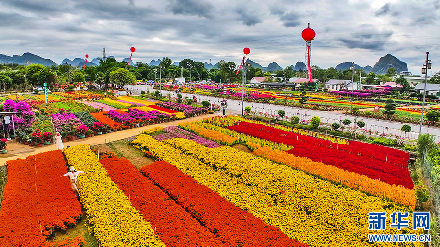 第三届南方花卉苗木交易会在桂林开幕-新华网