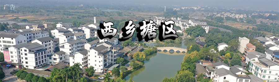 西乡塘区